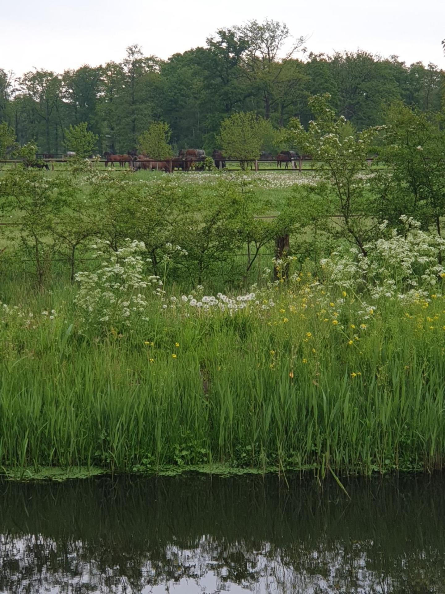 Landgoed De Lavei Bed & Breakfast Weleveld ภายนอก รูปภาพ