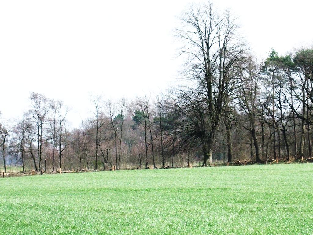 Landgoed De Lavei Bed & Breakfast Weleveld ภายนอก รูปภาพ