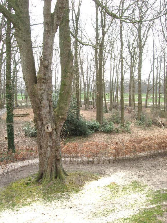 Landgoed De Lavei Bed & Breakfast Weleveld ภายนอก รูปภาพ