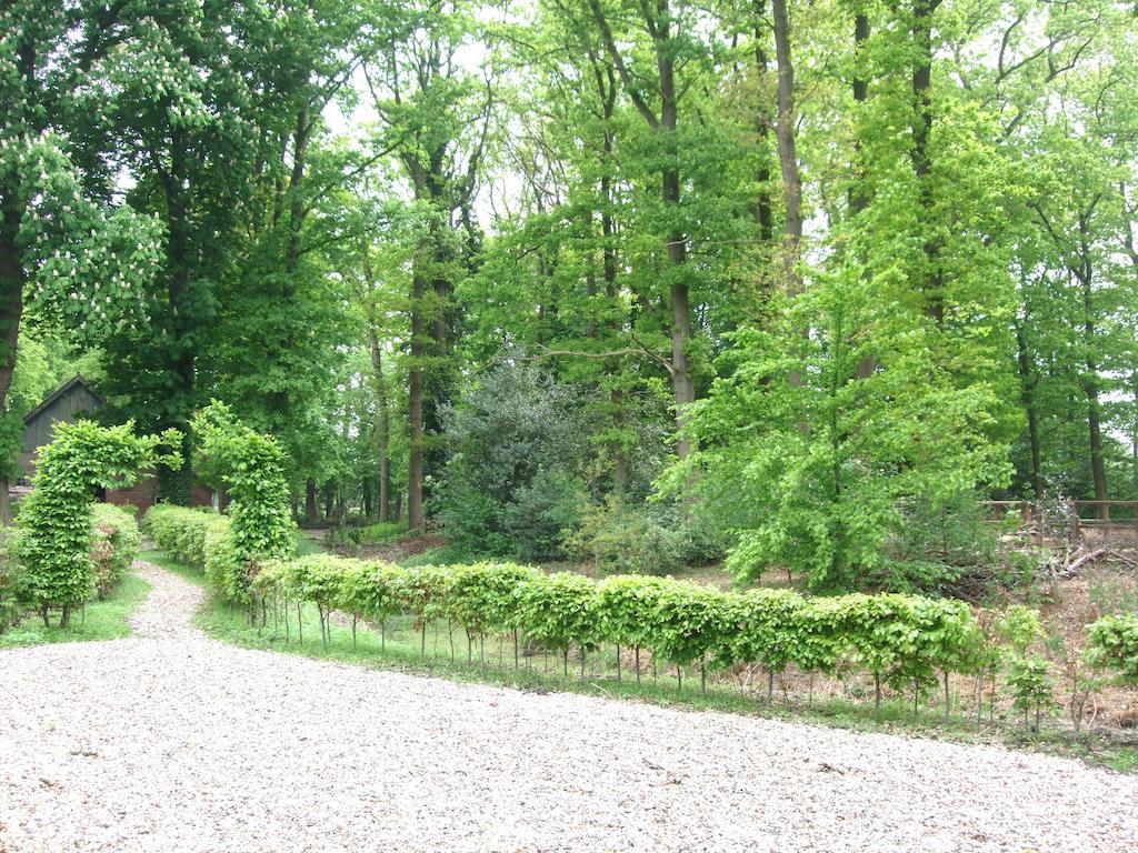 Landgoed De Lavei Bed & Breakfast Weleveld ภายนอก รูปภาพ